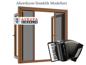 Akordiyon Sineklik