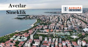 Avcılar sineklik