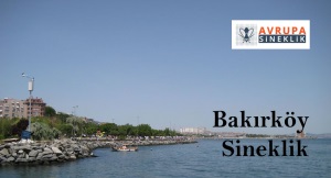 Bakırköy sineklik