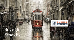 Beyoğlu Sineklik