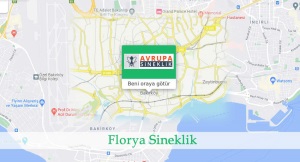 Florya sineklik