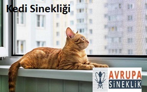 Kedi Sinekliği Nasıl Olmalı? | Güvenli ve Dayanıklı Seçim