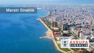 Mersin sineklik