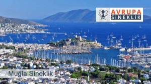 Muğla sineklik