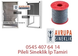 Pileli Sineklik İpi