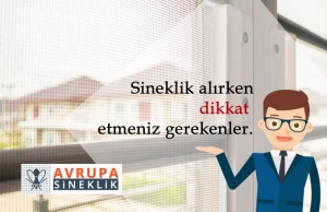 Sineklik Alırken Dikkat Etmeniz Gerekenler