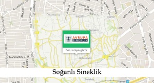 Soğanlı sineklik