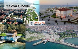 Yalova Sineklik