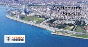 Zeytinburnu sineklik